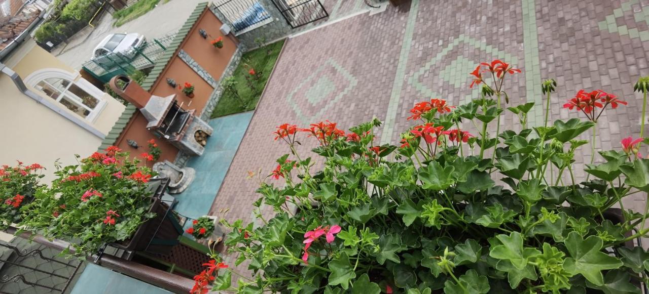 Отель Casa Cizi Кэлимэнешти Экстерьер фото